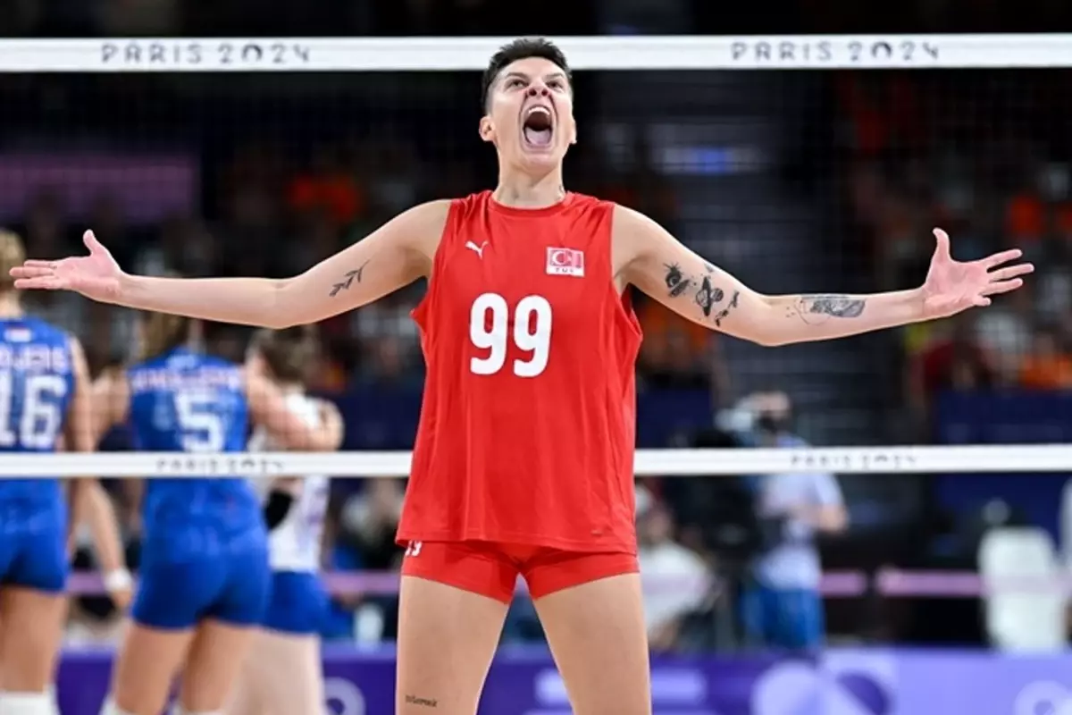 img, AA, 猛虎 img, AA, 猛虎