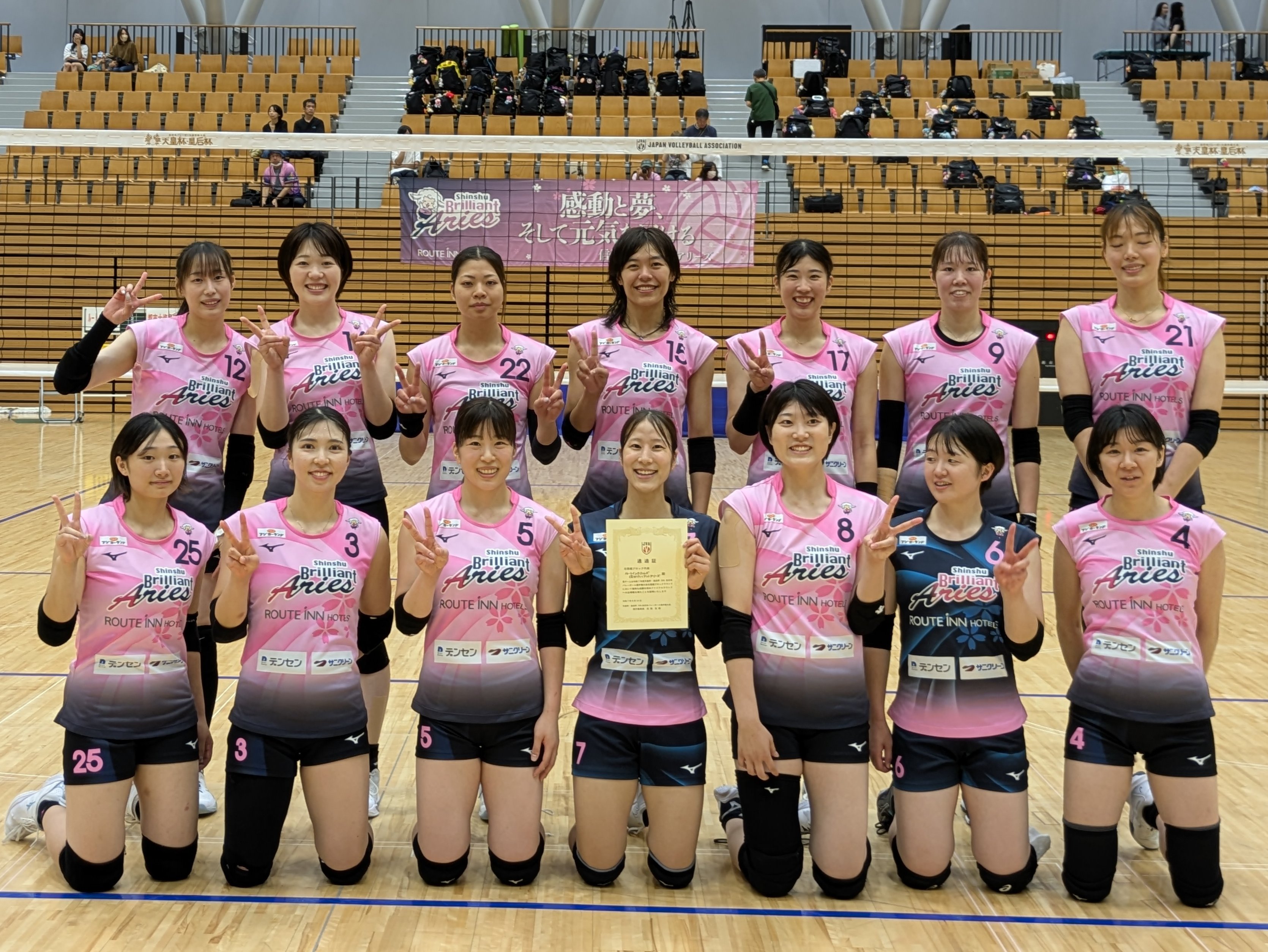 中国女排球, amp 中国女排球, amp