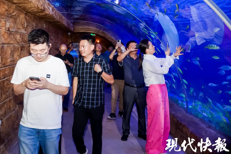 导及嘉宾出 导及嘉宾出