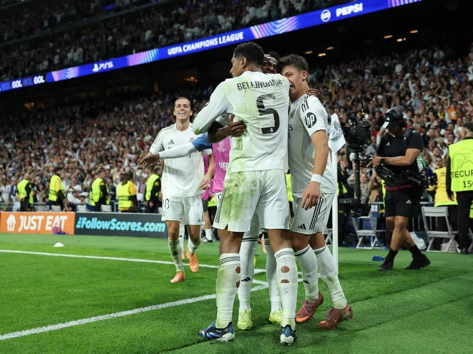 争夺冠军的 争夺冠军的